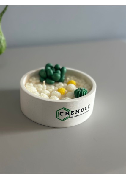 Chemdle Çiçek ve Sukulentli Terrarium Mum fiyatları