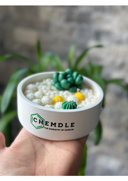 Chemdle Çiçek ve Sukulentli Terrarium Mum modelleri