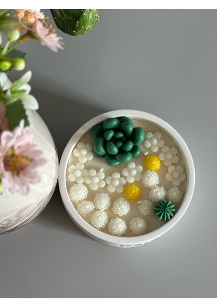 Chemdle Çiçek ve Sukulentli Terrarium Mum fırsatları