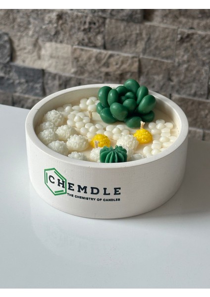 Chemdle Çiçek ve Sukulentli Terrarium Mum indirimleri