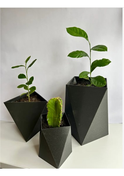 Dekoratif Geometrik Saksı