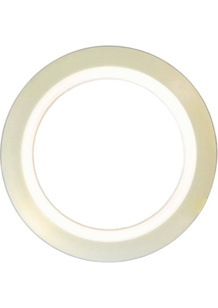 Uv-1 Anti-Uv Pet Hücre Sabitleme Bandı - 5 Mm. x 50 Mt.(20 Ad)