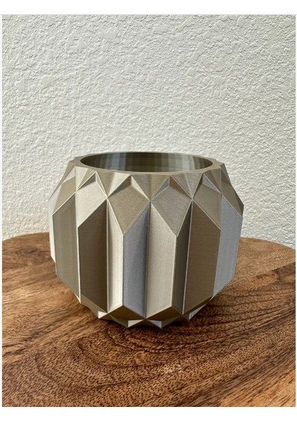 Geometrik Saksı