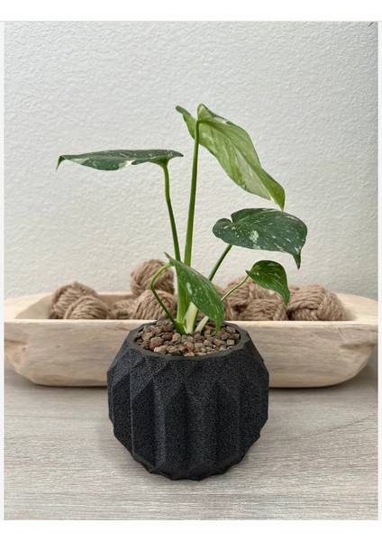 Geometrik Saksı fiyatları