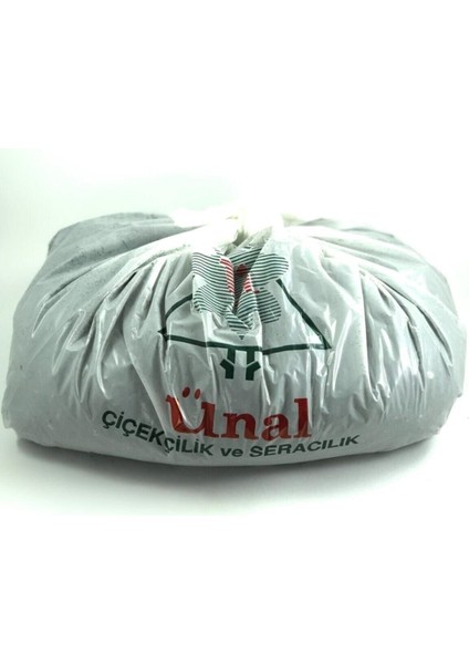 Kaktüs ve Sukulent Toprağı