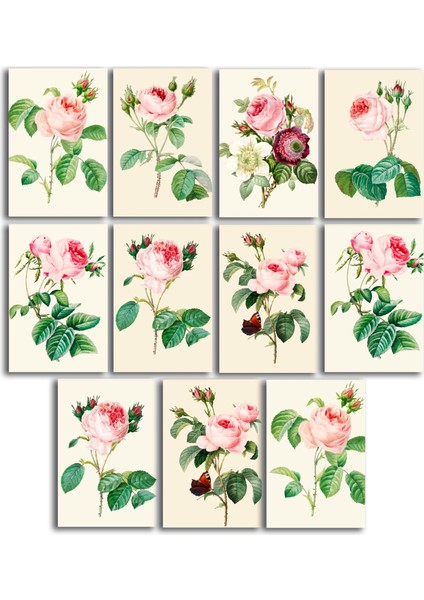 Gül Temalı Kartpostal Seti (10X15 cm 11 Adet)