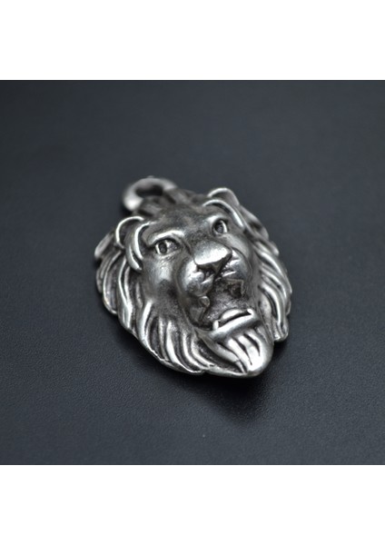 Aslan Kafası Zincir Kolye - Gümüş Kaplama - Erkek Kadın Kolye - Kod:350