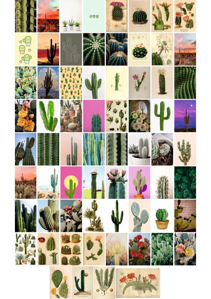 Kaktüs Temalı Kartpostal Seti (10X15 cm 69 Adet)