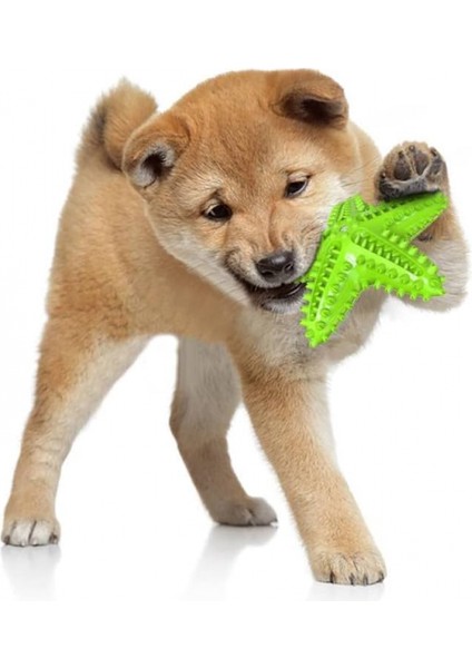 Köpek Diş Çıkarma Temizleme Diş Fırçası Oyuncak, Küçük ve Orta Köpekler Için Dayanıklı Cızırtılı Interaktif Denizyıldızı Köpek Oyuncak (Yurt Dışından) modelleri