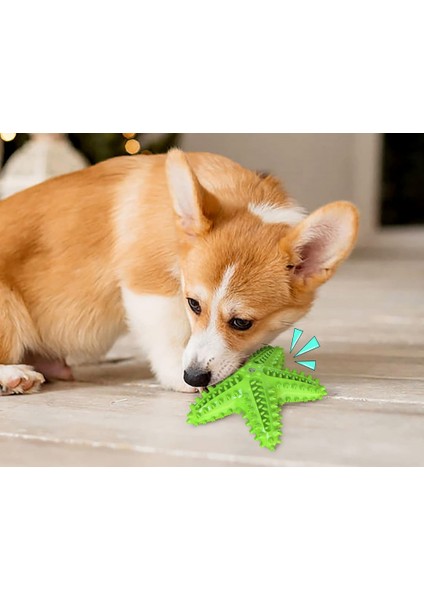 Köpek Diş Çıkarma Temizleme Diş Fırçası Oyuncak, Küçük ve Orta Köpekler Için Dayanıklı Cızırtılı Interaktif Denizyıldızı Köpek Oyuncak (Yurt Dışından) fırsatları