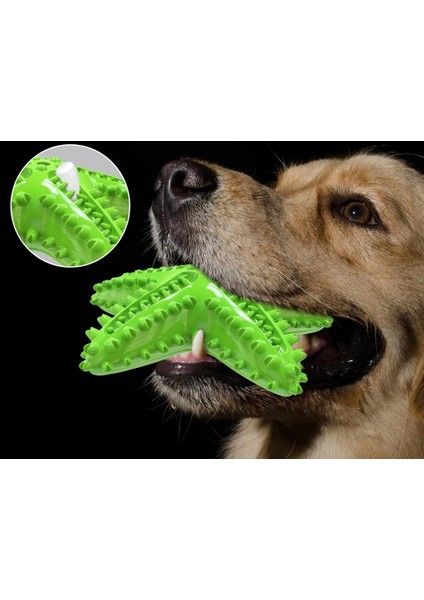 Köpek Diş Çıkarma Temizleme Diş Fırçası Oyuncak, Küçük ve Orta Köpekler Için Dayanıklı Cızırtılı Interaktif Denizyıldızı Köpek Oyuncak (Yurt Dışından) indirimleri