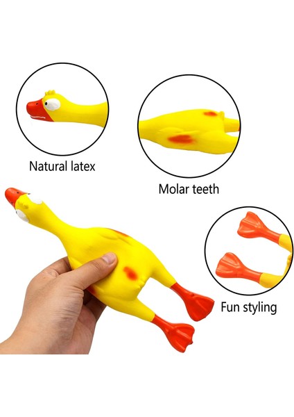 Çığlık Atan Lastik Tavuk Köpek Cızırtılı Oyuncak, Lateks Çiğneme Molar Köpek Oyuncak, 1 Paket (Yurt Dışından) fiyatları