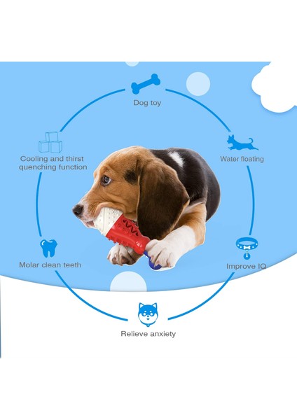 Yıkılmaz Dayanıklı Çiğnemeye Dayanıklı Köpek Çiğneme Oyuncağı, Köpek Azı Dişi Çubuğu, Köpek Diş Fırçası, Sert Köpek Oyuncakları, Diş Temizlemek Için Küçük ve Orta Boy Köpekler, Eğitim (Yurt Dışından) fiyatları