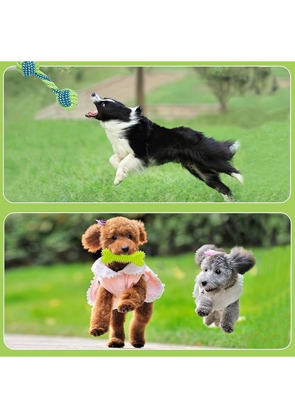 8 Haftalık Köpek Diş Çıkarma Oyuncakları, Interaktif Köpek Ipi Oyuncak, Doğal Pamuk Köpek Çiğneme Oyuncağı, 9'lu Paket… (Yurt Dışından) modelleri