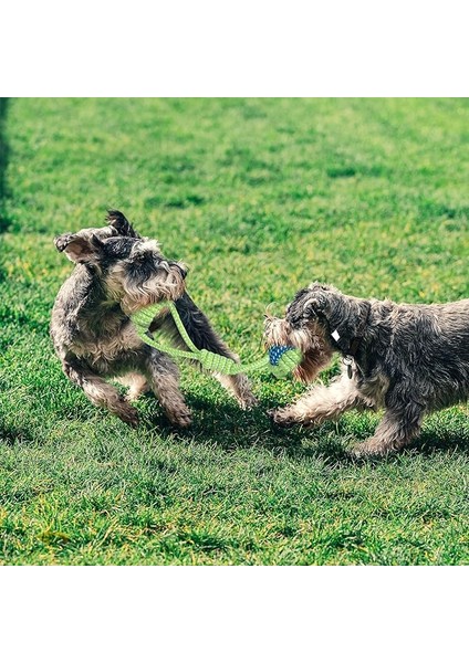 8 Haftalık Köpek Diş Çıkarma Oyuncakları, Interaktif Köpek Ipi Oyuncak, Doğal Pamuk Köpek Çiğneme Oyuncağı, 9'lu Paket… (Yurt Dışından) fırsatları