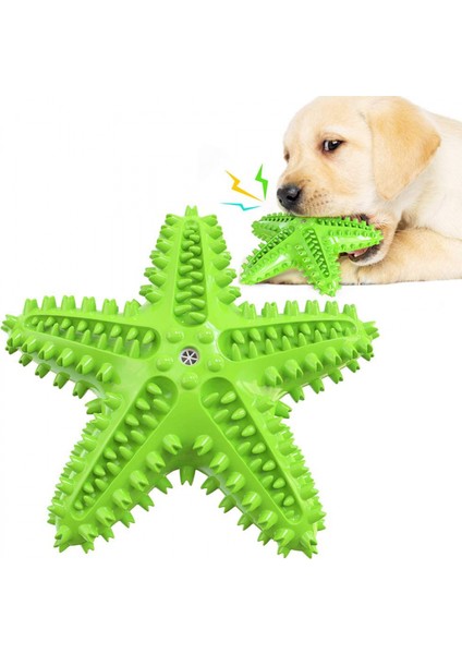 Denizyıldızı Köpek Çiğneme Oyuncak Interaktif Cızırtılı Köpek Diş Çıkarma Temizleme Diş Fırçası Oyuncak, Küçük Orta Büyük Cins Için Interaktif Denizyıldızı Köpek Oyuncakları, Yeşil (Yurt Dışından)
