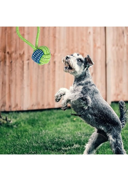 8 Haftalık Köpek Diş Çıkarma Oyuncakları, Interaktif Köpek Ipi Oyuncak, Doğal Pamuk Köpek Çiğneme Oyuncağı, 9'lu Paket… (Yurt Dışından) indirimleri