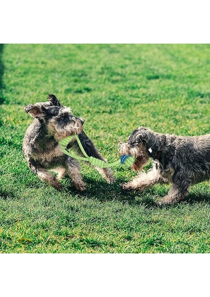 8 Haftalık Köpek Diş Çıkarma Oyuncakları, Interaktif Köpek Ipi Oyuncak, Doğal Pamuk Köpek Çiğneme Oyuncağı, 7 Paket… (Yurt Dışından)