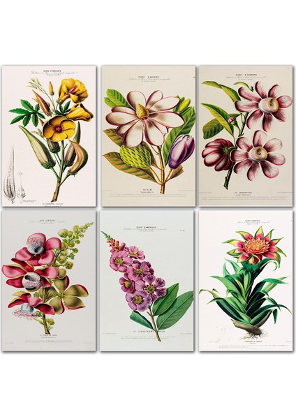 Çiçek Temalı Kartpostal Seti (10X15 cm 8 Adet)