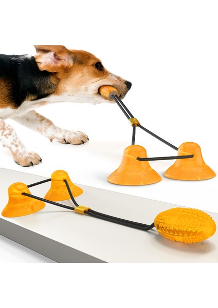 Vantuz Köpek Oyuncakları Köpek Yavrusu Halat Çiğneme (Yurt Dışından)