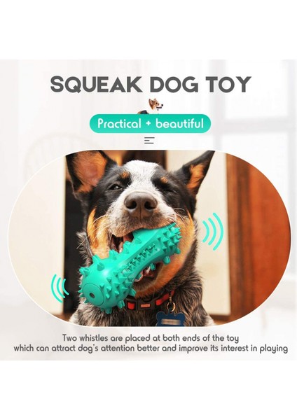 Köpek Diş Fırçası Çiğneme Oyuncakları, Köpek Gıcırtılı Oyuncaklar Diş Temizleme Oyuncak Köpek Küçük Orta Büyük Köpekler Için Doğal Kauçuk Diş Bakımı Temizleme Çubuğu, Mavi (Yurt Dışından) fırsatları