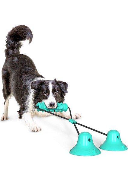 Çok Fonksiyonlu Vantuzlu Köpek Çiğneme Oyuncağı, Pet Molar Isırık Oyuncak, Vantuz Köpek Oyuncak Kauçuk Çiğneme Oyuncakları Diş Temizleme Için Interaktif Köpek Eğitim Halatı Pet Kaynağı (Yurt Dışından)