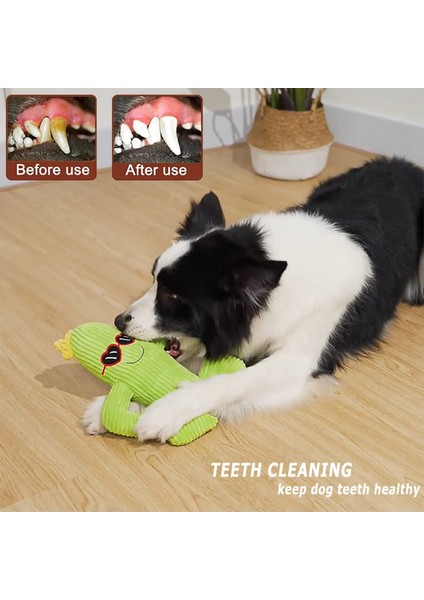 Köpek Oyuncakları, Küçük Orta Büyük Köpekler Için Gıcırtılı Doldurulmuş Köpek Oyuncakları, Açık Köpek Oyuncakları Interaktif Sert Halat Oyuncakları Kaktüs Şekli (Yurt Dışından) fırsatları