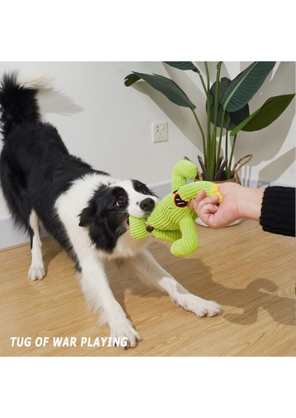 Köpek Oyuncakları, Küçük Orta Büyük Köpekler Için Gıcırtılı Doldurulmuş Köpek Oyuncakları, Açık Köpek Oyuncakları Interaktif Sert Halat Oyuncakları Kaktüs Şekli (Yurt Dışından) indirimleri