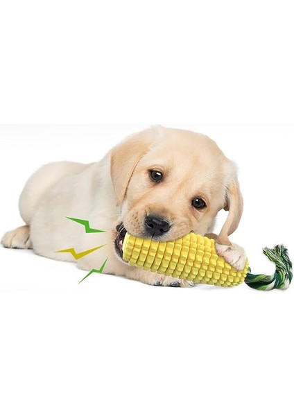 Köpek Çiğneme Oyuncakları, Köpek Diş Fırçası Temiz Dişler Interaktif Mısır Oyuncakları, Köpek Oyuncakları Agresif Çiğneme Makineleri Küçük Orta Büyük Cins (Yeşil) (Yurt Dışından)