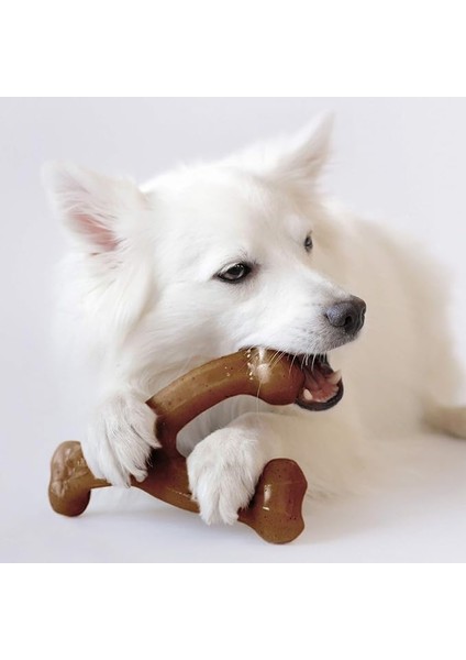 Agresif Çiğnemeciler Için Dayanıklı Lades Kemikli Köpek Çiğneme Oyuncağı, Gerçek Pastırma, (Yurt Dışından)