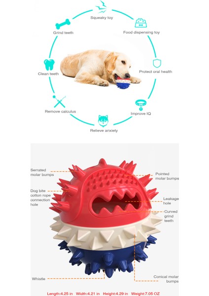 Köpek Çiğneme Oyuncağı, Çok Fonksiyonlu Evcil Hayvan Oyuncak Molar Cower Oyuncaklar, Köpekler Için Diş Temizleme Lastik Top Oyuncakköpek Çiğneme Oyuncağı (Mavi) (Yurt Dışından) fiyatları