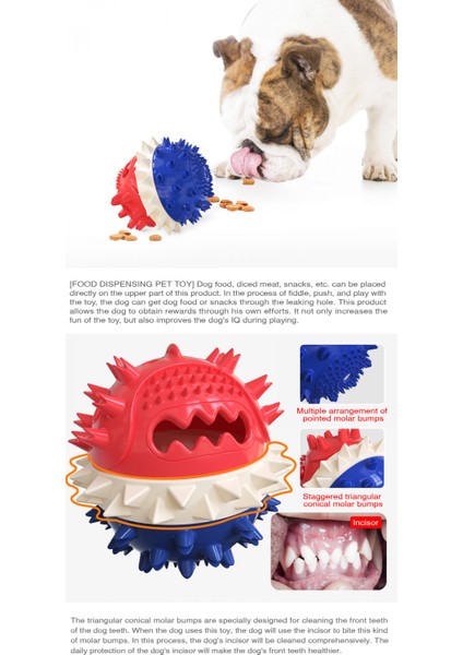 Köpek Çiğneme Oyuncağı, Çok Fonksiyonlu Evcil Hayvan Oyuncak Molar Cower Oyuncaklar, Köpekler Için Diş Temizleme Lastik Top Oyuncakköpek Çiğneme Oyuncağı (Mavi) (Yurt Dışından) modelleri