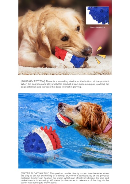 Köpek Çiğneme Oyuncağı, Çok Fonksiyonlu Evcil Hayvan Oyuncak Molar Cower Oyuncaklar, Köpekler Için Diş Temizleme Lastik Top Oyuncakköpek Çiğneme Oyuncağı (Mavi) (Yurt Dışından) fırsatları