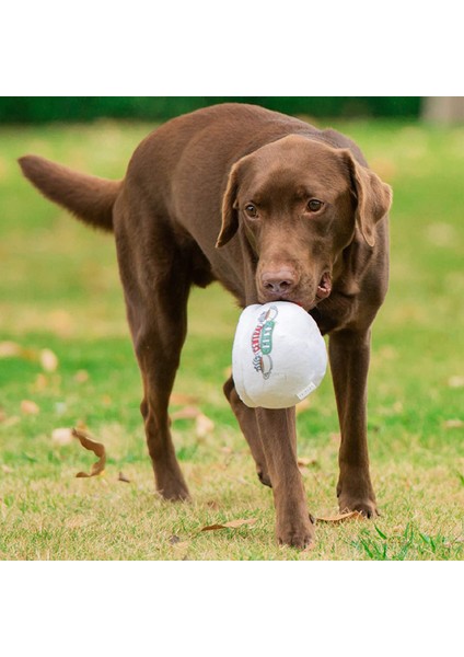 Peluş Köpek Oyuncak| Tüm Köpekler Için Sevimli Cırlak Arkadaşlar Oyuncak | Squeaker, Arkadaş Hatıra Eşyası, Çeşitli Stil ve Boyutlarla Doldurulmuş Köpek Oyuncakları (Yurt Dışından) fırsatları