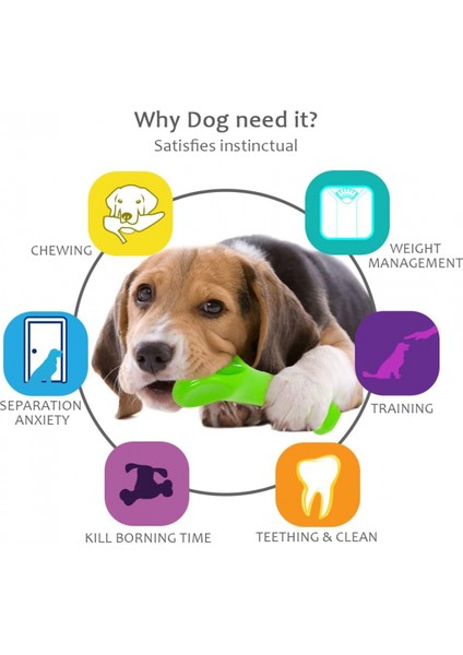 Agresif Çiğneme Makineleri Için Köpek Oyuncakları, Yavru Köpekler Için Yıkılmaz Pet Çiğneme Oyuncakları Kemik, L (7,2 * 1,9 * 2,1 Inç) (Yurt Dışından)