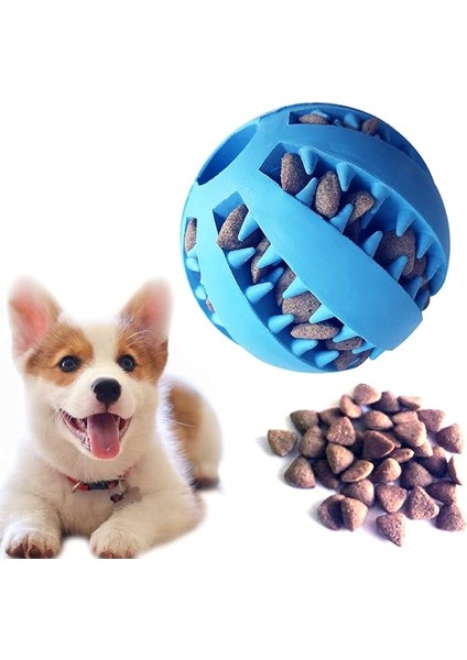 Feixun Evcil Köpek Oyuncak Topu, Kauçuk Köpek Maması Topu, Köpek Diş Temizleme Oyuncak Topu, Camgöbeği Interaktif Köpek Oyuncakları Paketi (Yurt Dışından)