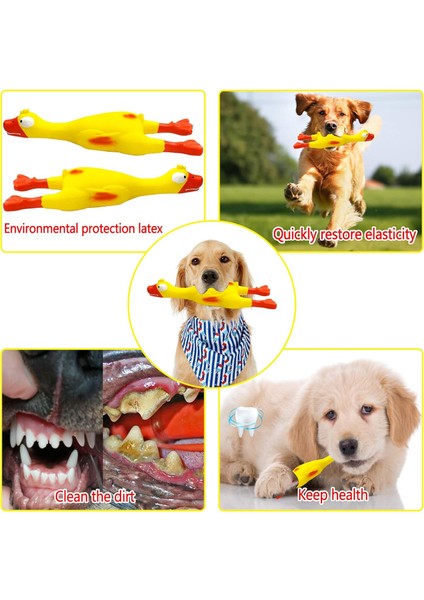 Çığlık Atan Lastik Tavuk Köpek Cızırtılı Oyuncak, Lateks Çiğneme Molar Köpek Oyuncak, 2'li Paket (Yurt Dışından) modelleri