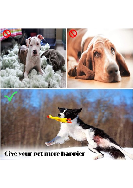 Çığlık Atan Lastik Tavuk Köpek Cızırtılı Oyuncak, Lateks Çiğneme Molar Köpek Oyuncak, 2'li Paket (Yurt Dışından) fırsatları