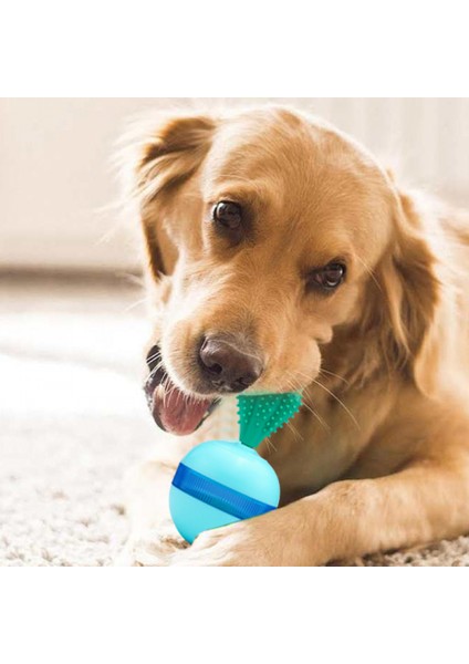 Köpek Interaktif Oyuncak, Köpek Azı Dişleri Diş Temizleme Topu Oyuncaklar, Küresel Diş Fırçası Köpek Oyuncak, Küçük Orta Büyük Evcil Köpekler Için Takım (Mavi) (Yurt Dışından) fiyatları