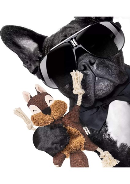 Köpek Yavrusu Için Stuffless Köpek Oyuncakları, Buruşuk Cızırtılı Köpek Çiğneme Oyuncakları Küçük Köpekler Için Sincap Peluş Köpek Oyuncak Halat Düğümlü (Kahverengi Sincap) (Yurt Dışından) indirimleri