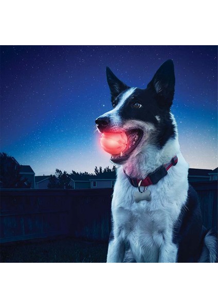 Nite Ize Glowstreak LED Köpek Topu, Zıplayan Aktif Işıklı Köpek Topu, Şık ve Güzel. (Yurt Dışından)