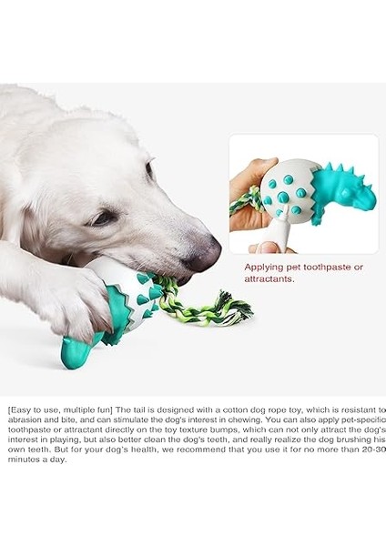 Köpek Dişleri Temizleme Oyuncakları, Güvenli ve Dayanıklı, Yıkılmaz Köpek Dişleri Öğütücü Oyuncaklar Köpek Dişleri Temizleme Çiğneme Her Boyutta Interaktif Dinozor Oyuncakları. (Sarı) (Yurt Dışından) indirimleri