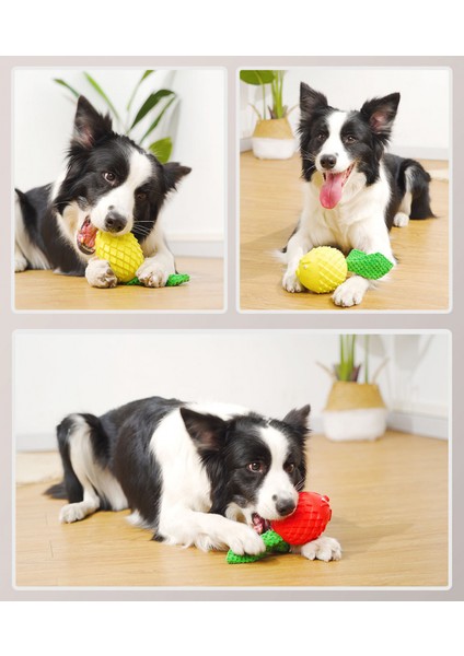 Gıcırtılı Köpek Oyuncakları - Yumuşak, Doğal Kauçuk - Yavru Köpek - Küçük Köpekler - Orta Boy Köpekler ve Kör Köpekler - Iç Mekanda Oyun (Sarı) (Yurt Dışından) modelleri