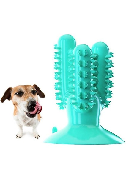 Köpekler Için Diş Çiğneme Oyuncakları Sağlıklı Taze Köpek Diş Bakımı Temizleme Fırçası (Yurt Dışından)
