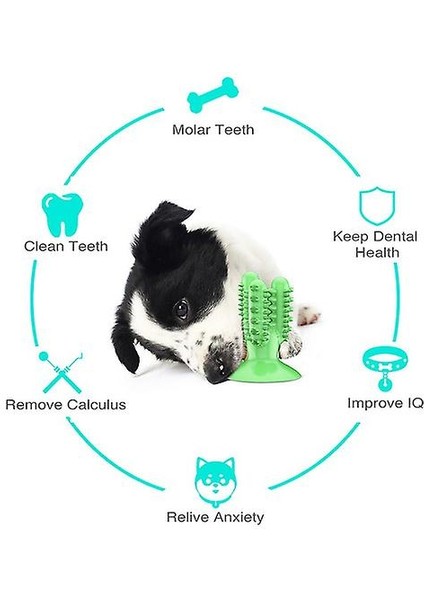 Köpekler Için Diş Çiğneme Oyuncakları Sağlıklı Taze Köpek Diş Bakımı Temizleme Fırçası (Yurt Dışından) modelleri