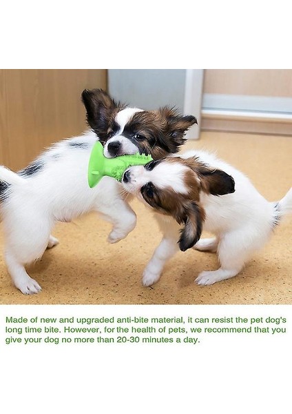 Köpekler Için Diş Çiğneme Oyuncakları Sağlıklı Taze Köpek Diş Bakımı Temizleme Fırçası (Yurt Dışından) fırsatları