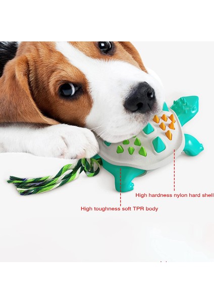Köpek Çiğneme Oyuncakları, Dayanıklı Dişler ve Rahatlatıcı Esnek Çiğneme Oyuncakları, Azı Dişleri Çubukları ve Küçük Orta Boy Köpek Diş Fırçaları (Mavimsi Gri) (Yurt Dışından) modelleri
