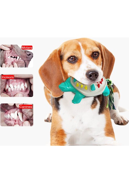Köpek Çiğneme Oyuncakları, Dayanıklı Dişler ve Rahatlatıcı Esnek Çiğneme Oyuncakları, Azı Dişleri Çubukları ve Küçük Orta Boy Köpek Diş Fırçaları (Mavimsi Gri) (Yurt Dışından) fırsatları