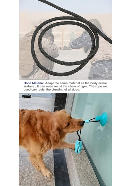 Interaktif Köpek Halatları Oyuncak Molar Çiğneme Oyuncak, Pet Diş Temizleme Için Vantuzlu Kendi Kendine Oynayan Lastik Top Oyuncak, Mavi (Yurt Dışından) indirimleri