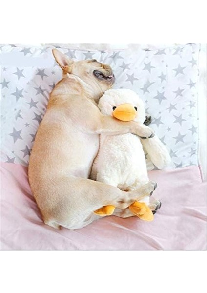 Peluş Ördek Köpek Oyuncak Pet Squeak Oyuncaklar Sevimli Yavru Ördek Yavrusu Arkadaş Büyük Orta Cins Köpek Için Yumuşak Uyku Arkadaşı (Yurt Dışından)